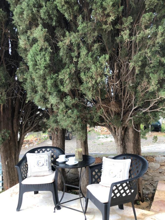 Kamares Stone House 1 Apartment Alika Bagian luar foto
